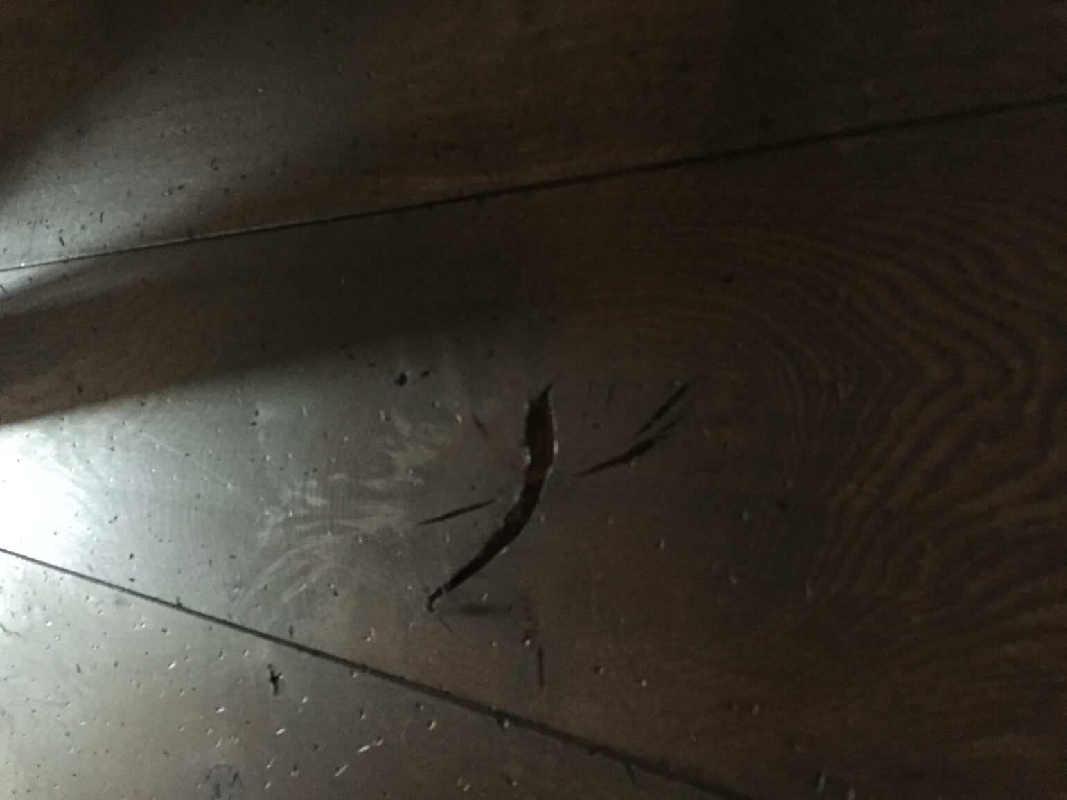 stalvloeren wenge (14)