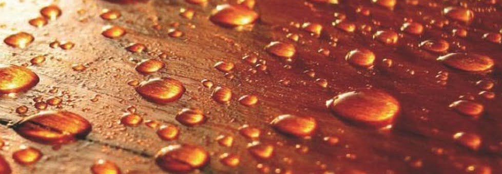 4.onderhoud en hygiene 4.onderhoud en hygiene