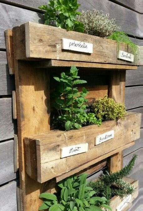 palletmoestuin palletmoestuin