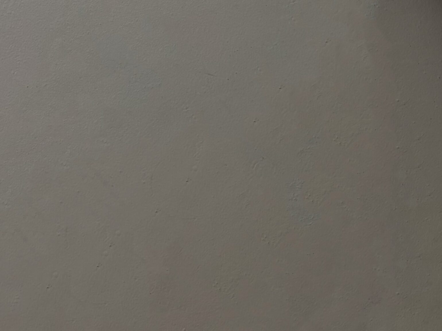 Gietvloer Fossil Gietvloer Fossil