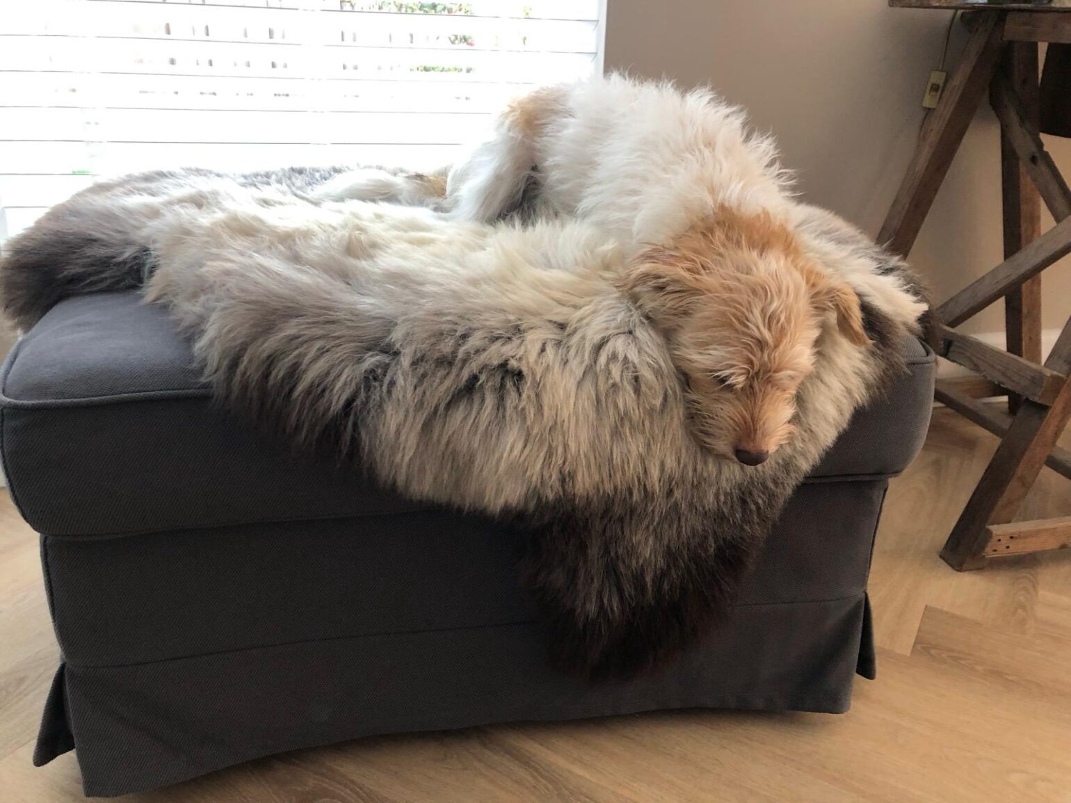 Binnenkijken bij Joost en Julia Binnenkijken bij Joost en Julia